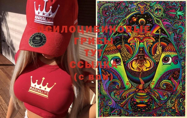 скорость Белокуриха