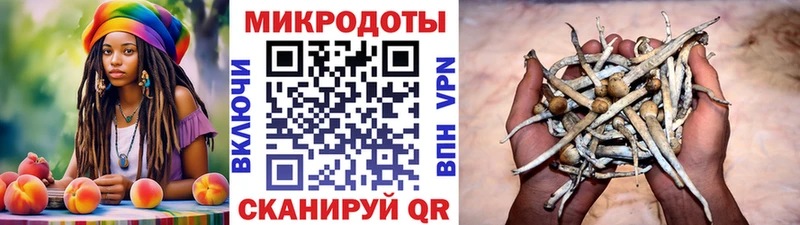 Галлюциногенные грибы GOLDEN TEACHER  гидра ТОР  Малая Вишера  купить наркоту 